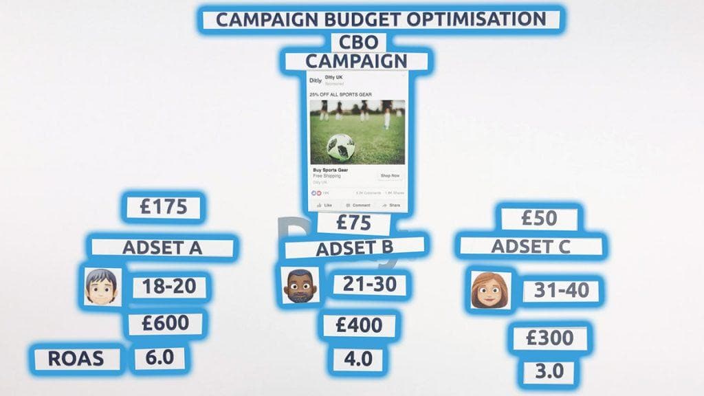 Facebook CBO campaign structure with budget and ad set details.