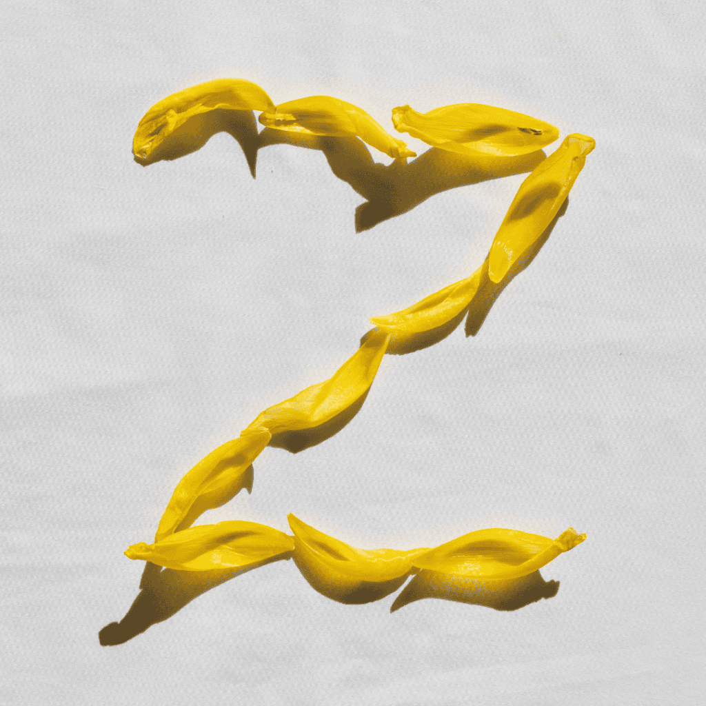 Bright yellow flower petals arranged to form the letter "Z" on a white background.